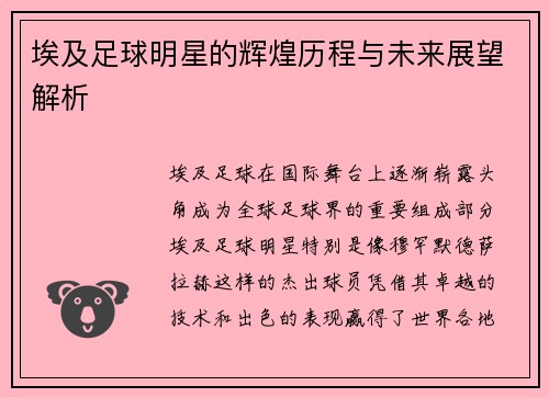 埃及足球明星的辉煌历程与未来展望解析