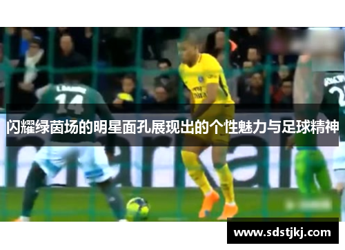闪耀绿茵场的明星面孔展现出的个性魅力与足球精神