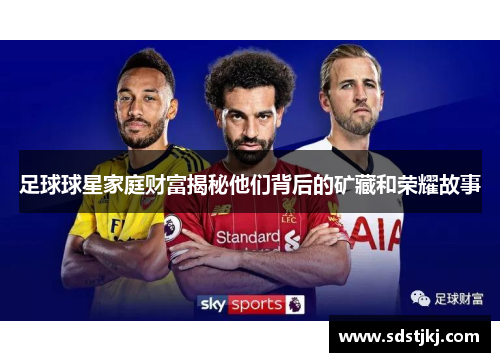 足球球星家庭财富揭秘他们背后的矿藏和荣耀故事